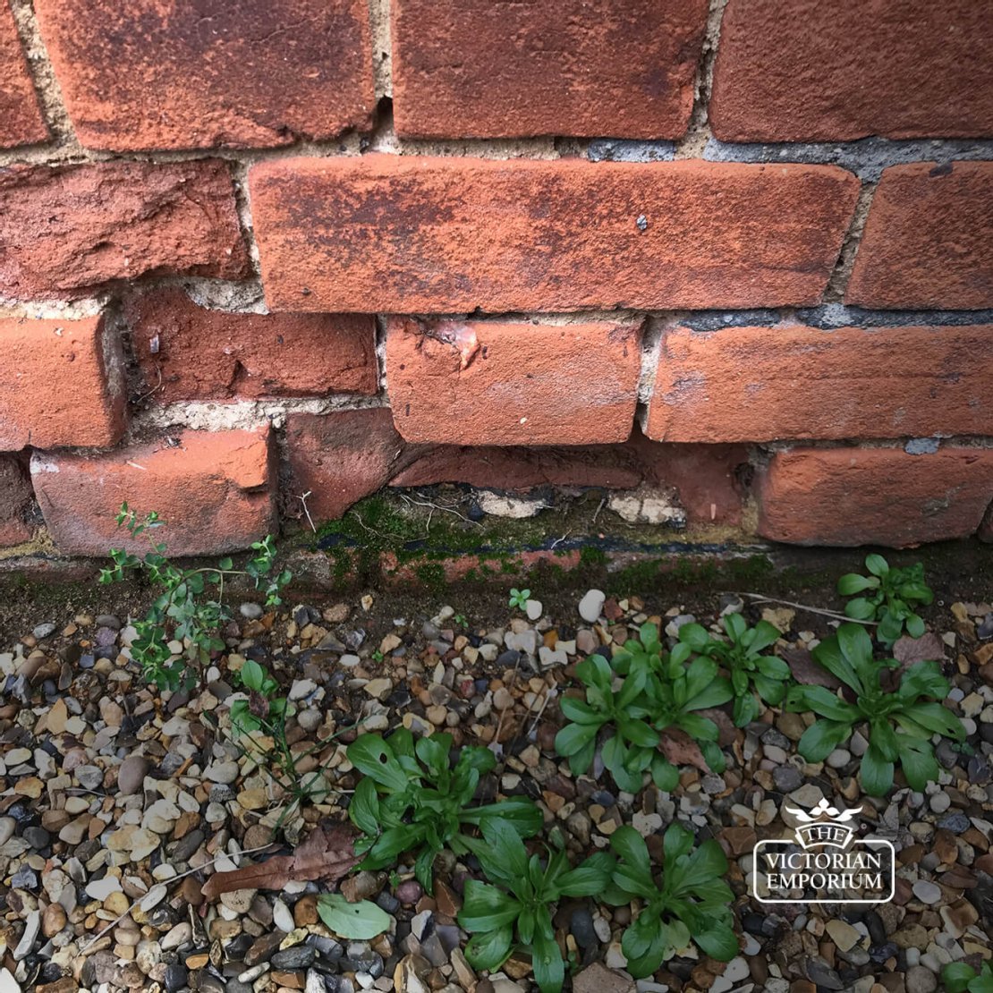 Damp Issues in old brickwork