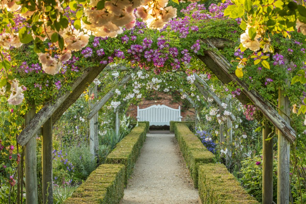 Mottisfont rose garden