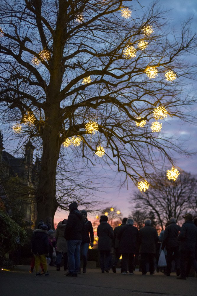 waddesdon at night