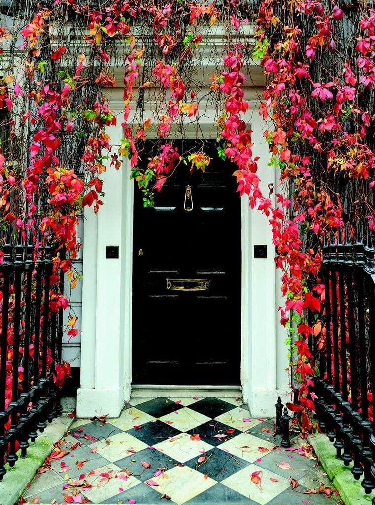 Black front door