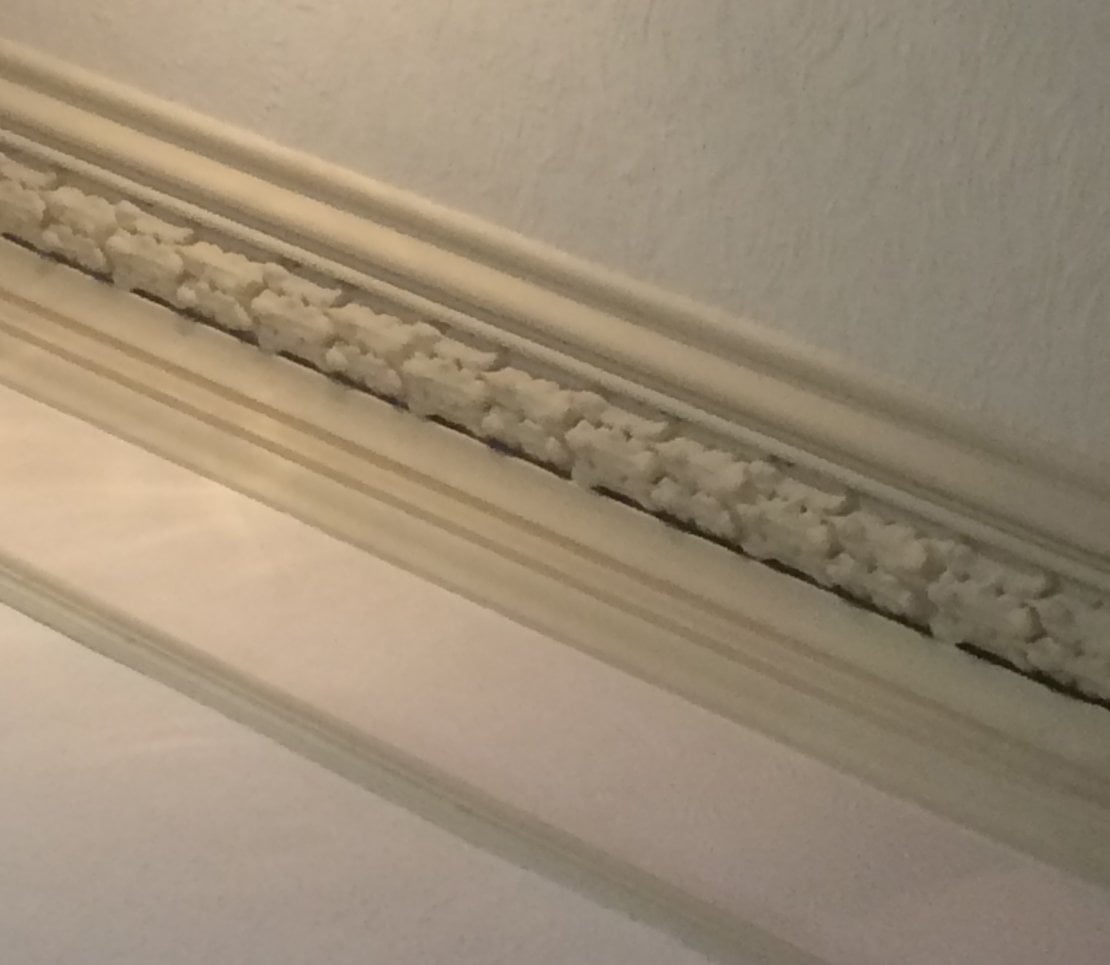 plaster coving