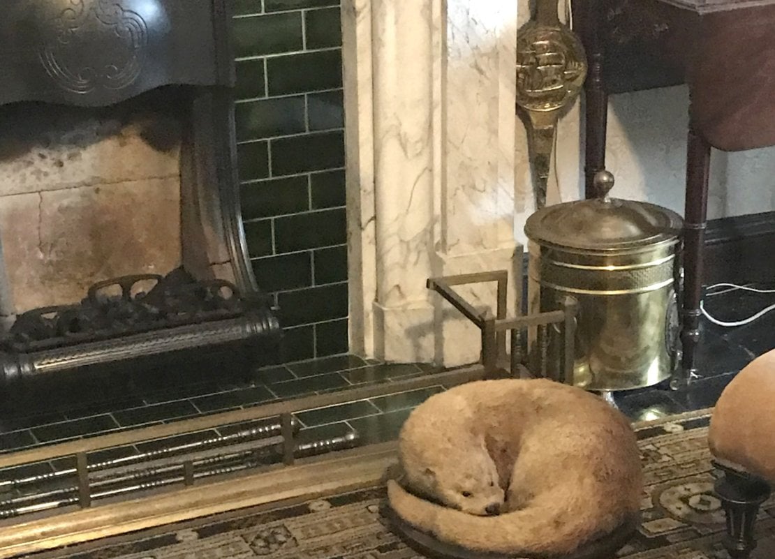 Cosy Victorian fire