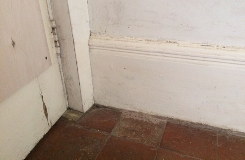 Damp Floor and Walls