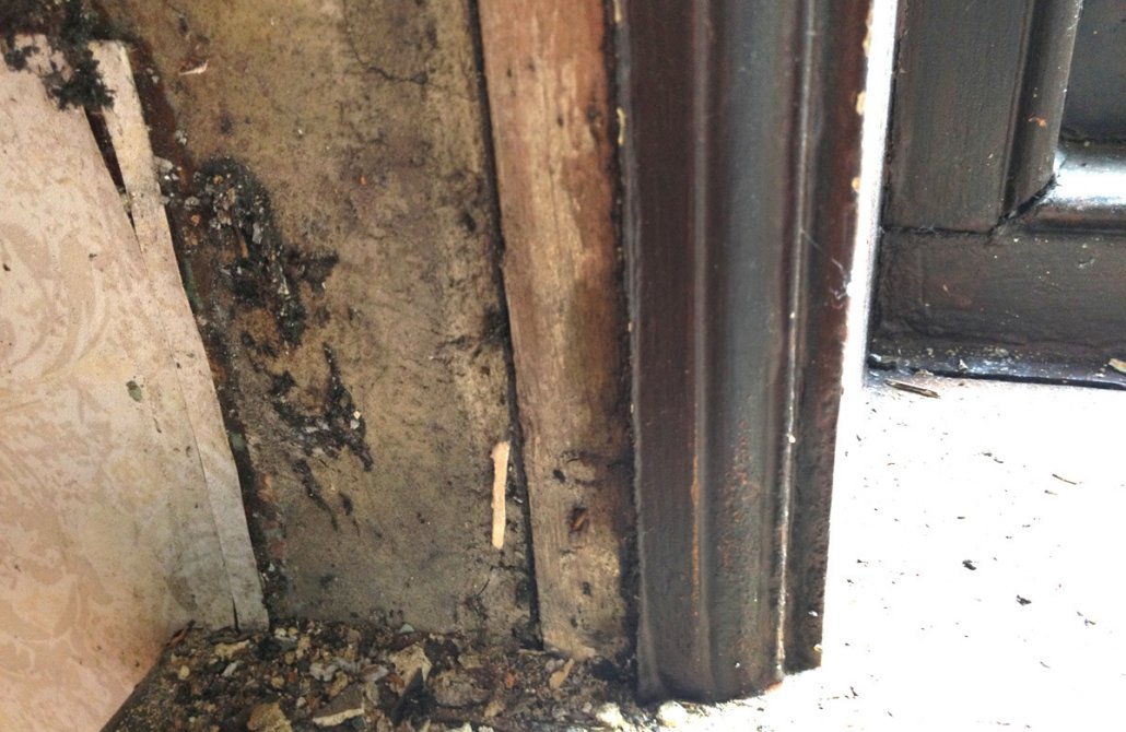 Repairing Wooden Decorative Mouldings