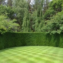 Create your own Victorian-style garden Create your own Victorian-style garden