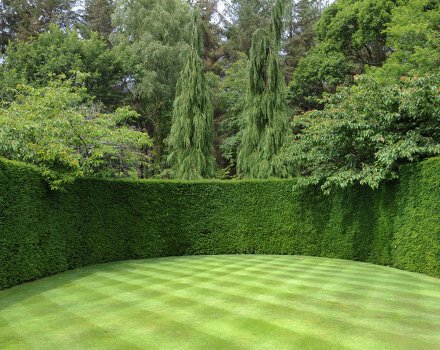 Create your own Victorian-style garden Create your own Victorian-style garden