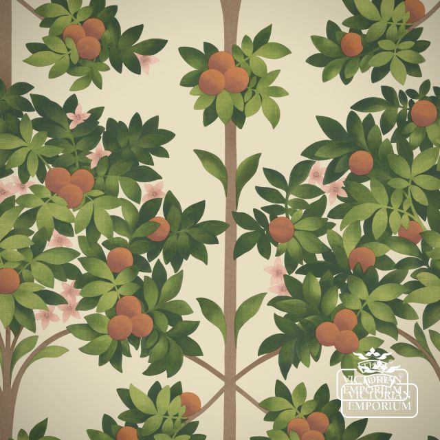 C S Seville Orange Blossom 117 1001 Rgb Flat