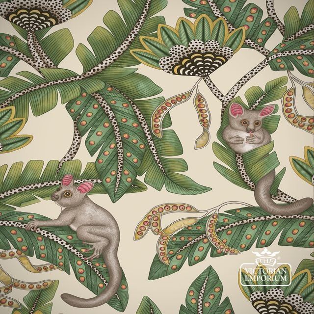C S Ardmore   Jabula 119 7035 Bush Baby Flat Rgb