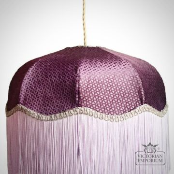 Fringed Lampshade Peninsula  Pna04