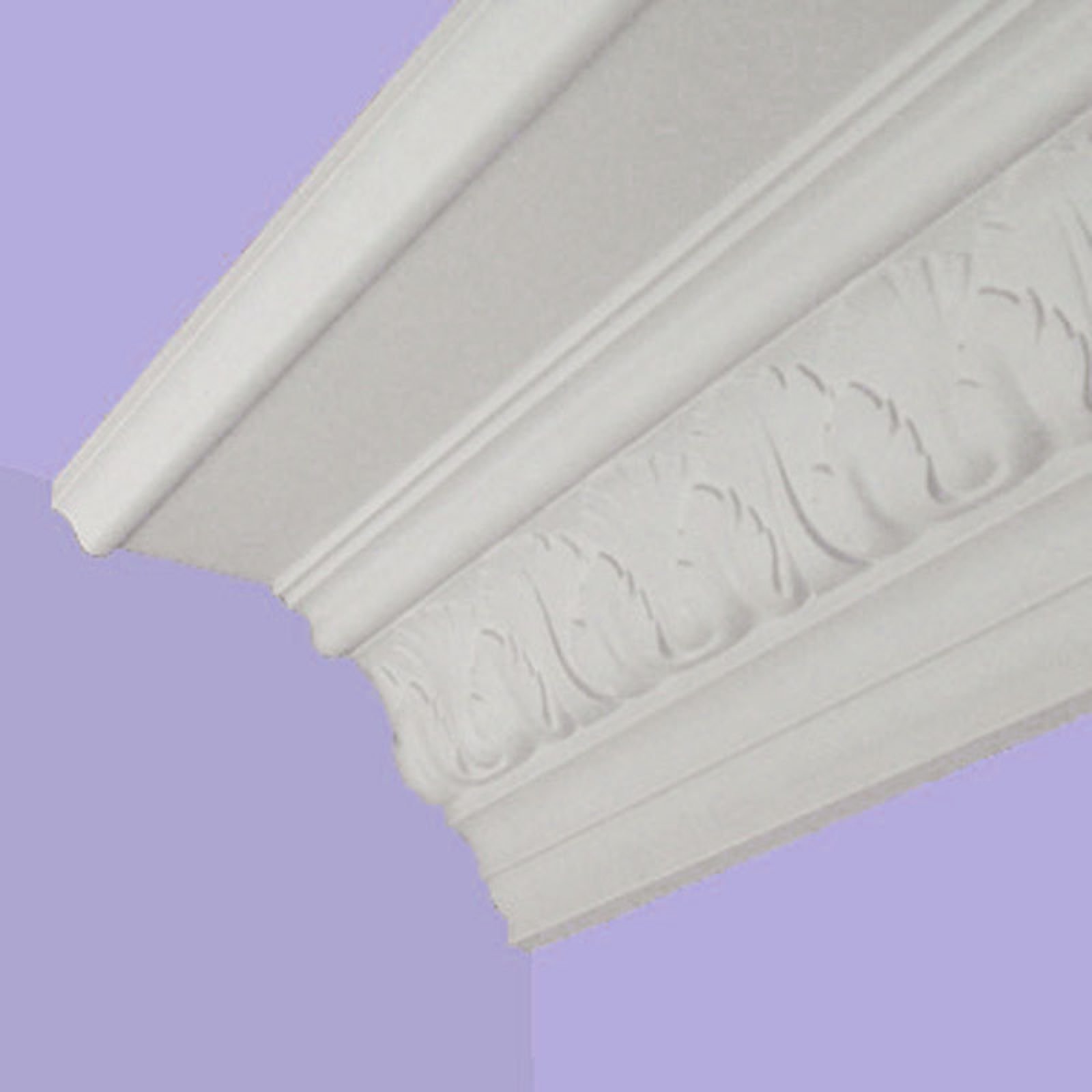 Victorian coving - Shell and leaf