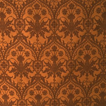 Ctshrewsbury Cinnamon Bark