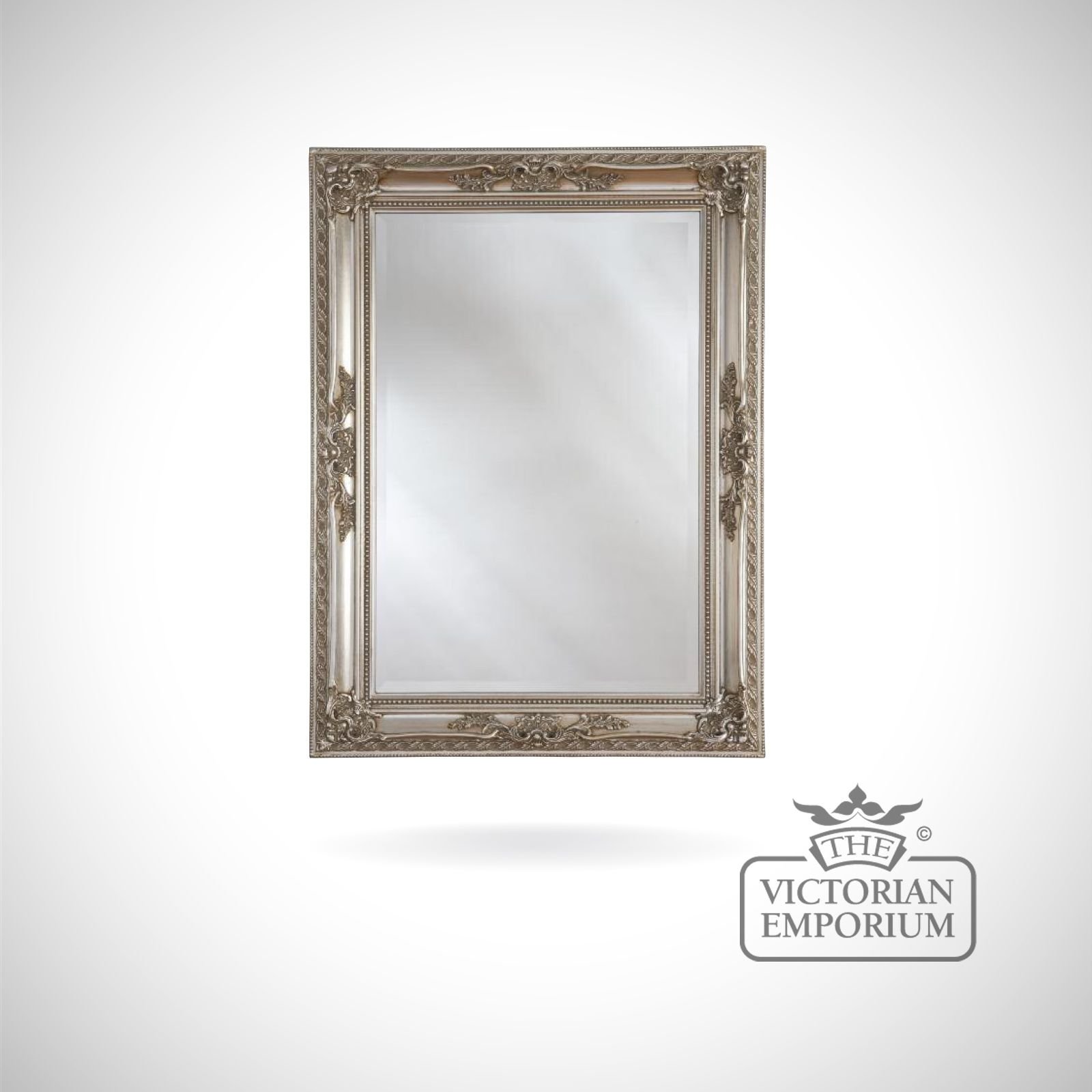 Oxford Mirror with silver frame - 175x84cm