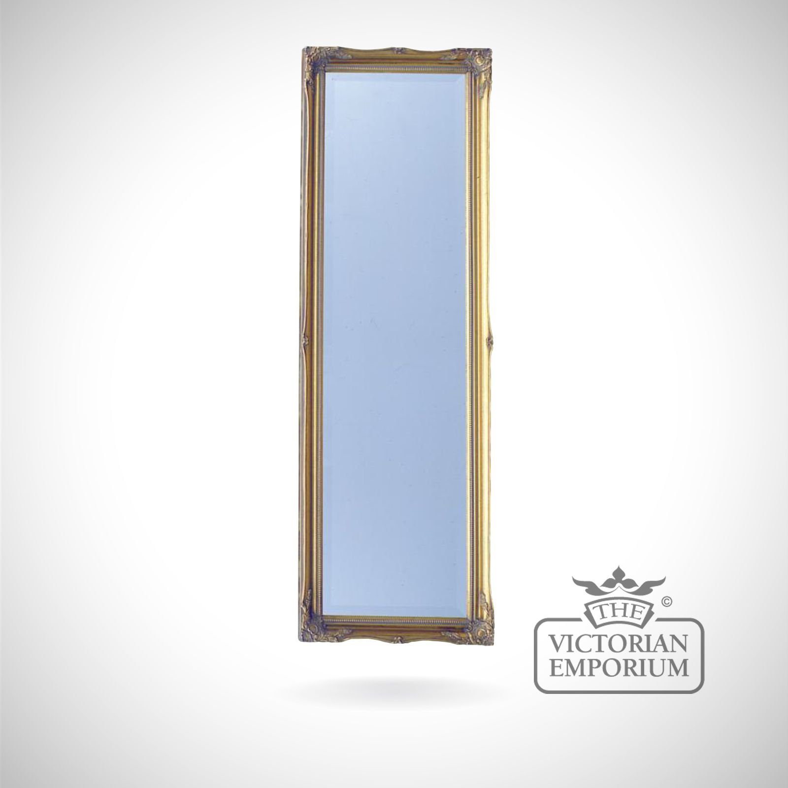 Penarth Mirror with gold frame - 124x41cm