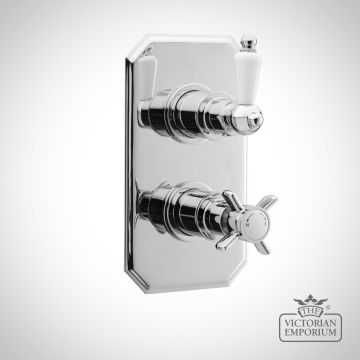 Edwardian Chrome Twin Thermostatic Shower Valve