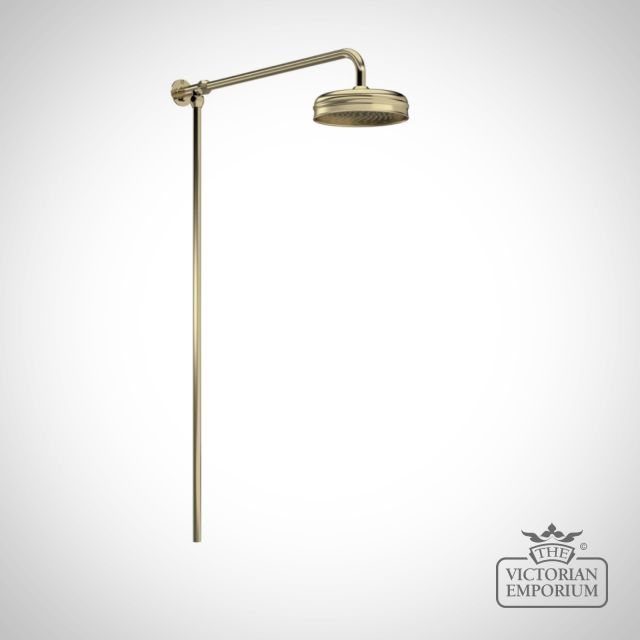 Brushed Brass Dual Rigid Riser Kit