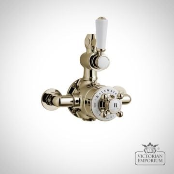 Brushed Brass Twin Exposed Valve - Black or White handle