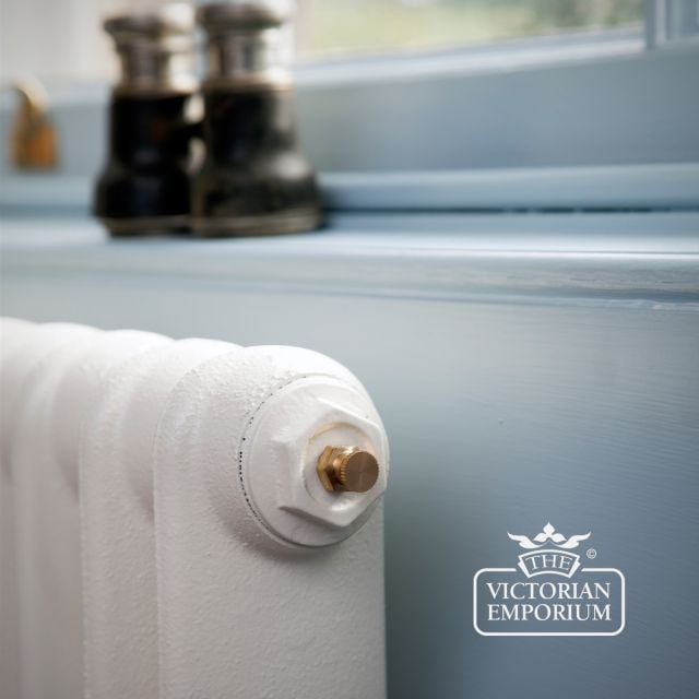 Radiator Cast Iron Traditional Reclaimed Victorian School Old Classic Decorative Narrow Eton Close 2