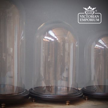 Globe display case