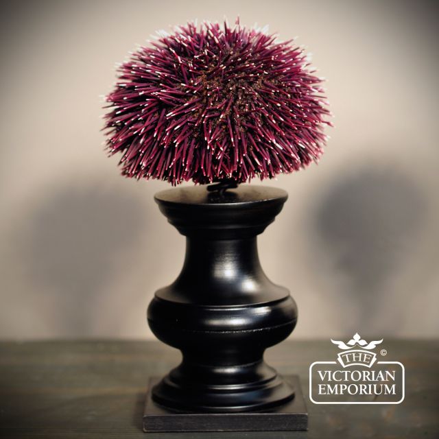 Sea urchin on stand