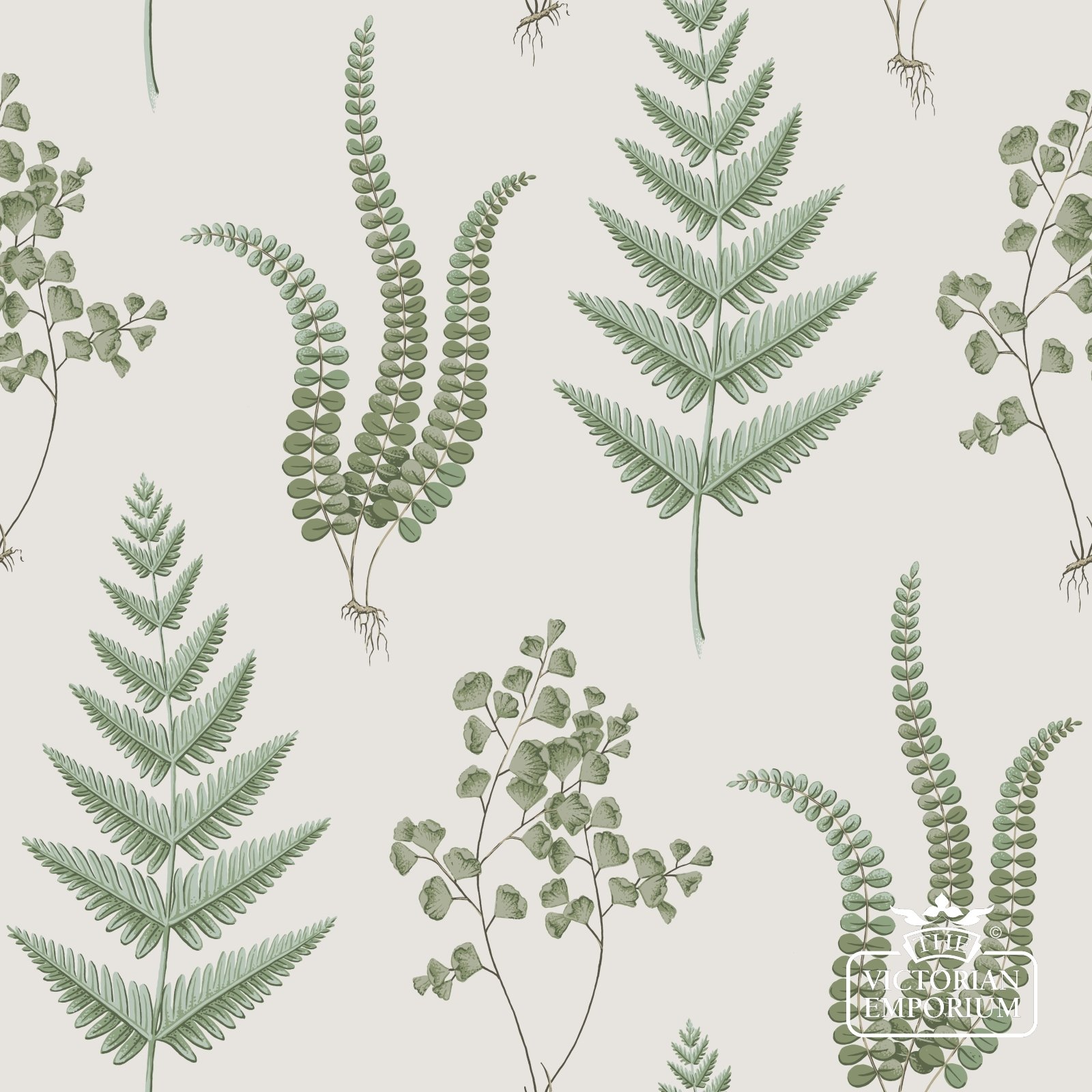 Fern Wallpaper Featuring a Variety of Green Plants in Subtle Colours