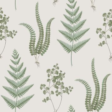 Fern wallpaper featuring a variety of green plants in subtle colours