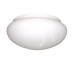 Spare-glass-lamp-shade-ceiling-frosted-shb250--shb300