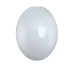 Spare-glass-lamp-shade-flame-etched-egg