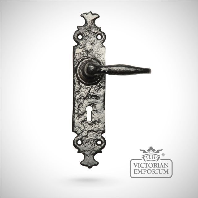 Traditional Cast Door Furniture Door Handles Old Classical Victorian Decorative Reclaimed Ve754b