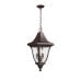 Pendant-hanging-victorian-lamp-feoakmont8m