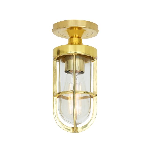 Oregon A Cage well glass Ceiling Light IP65