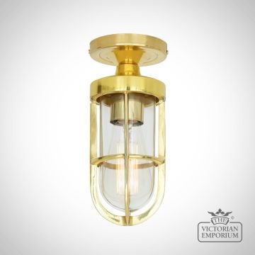 Oregon A Cage well glass Ceiling Light IP65