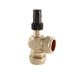 Auto-bypass-valve-w-abv 800