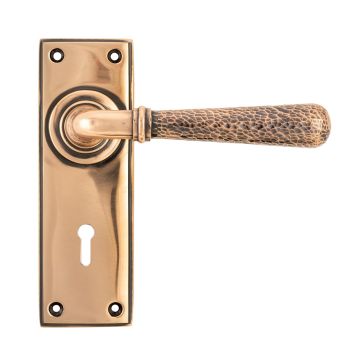Door Handle Polished Bronze Hammered 46225 Main