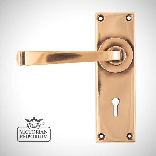 Door Handle Polished Bronze 45787 Main