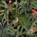 Parrots Of Brasil Anthracite 156x100cm Wp20522