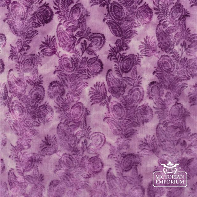 74766 Zanfirico Violet